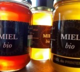Miel de printemps